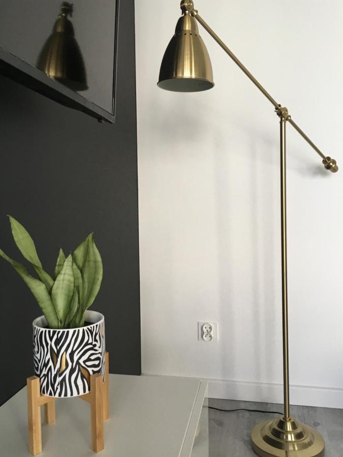 Mietowa Zebra Apartment