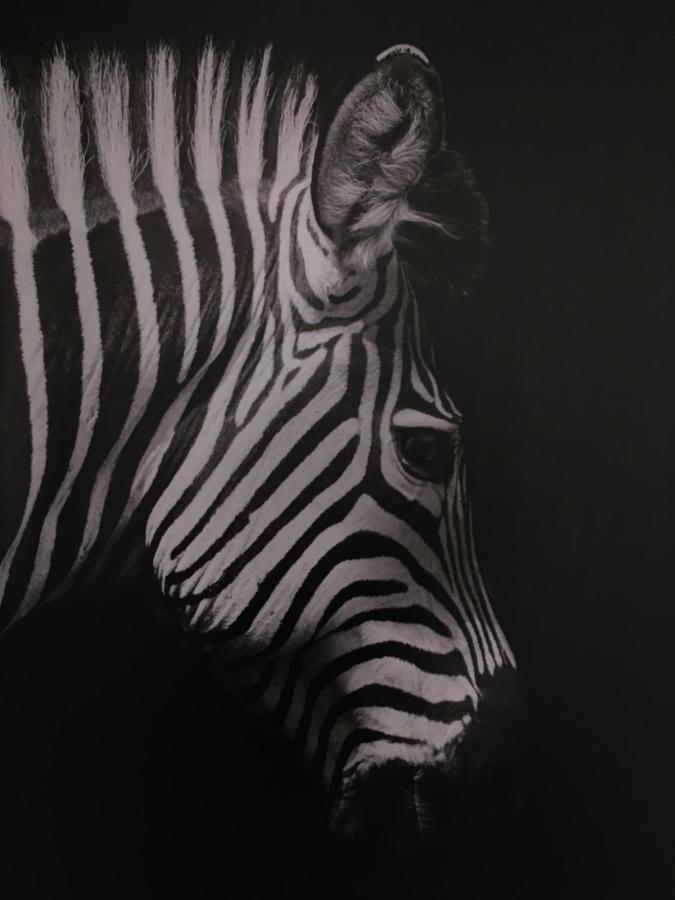 Mietowa Zebra *
