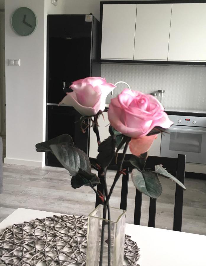 Mietowa Zebra Apartment Olsztyn (Warmian-Masurian)