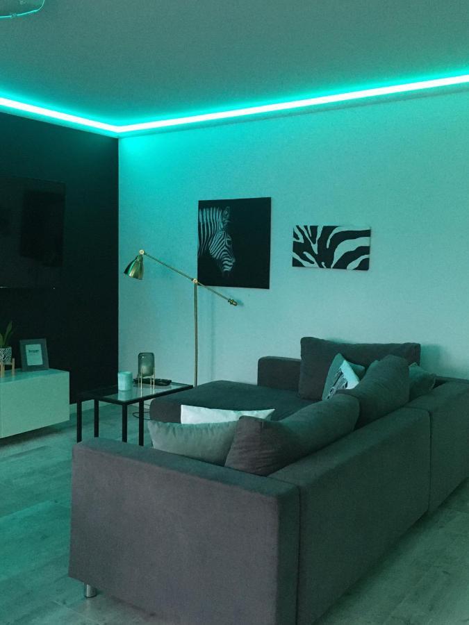 Mietowa Zebra Apartment