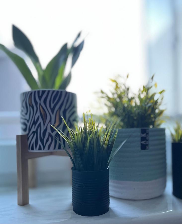 Apartment Mietowa Zebra *